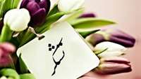 تقدیر و تشکر خانواده بیمارسجاد میر آخورلو از بخش icuجراحی